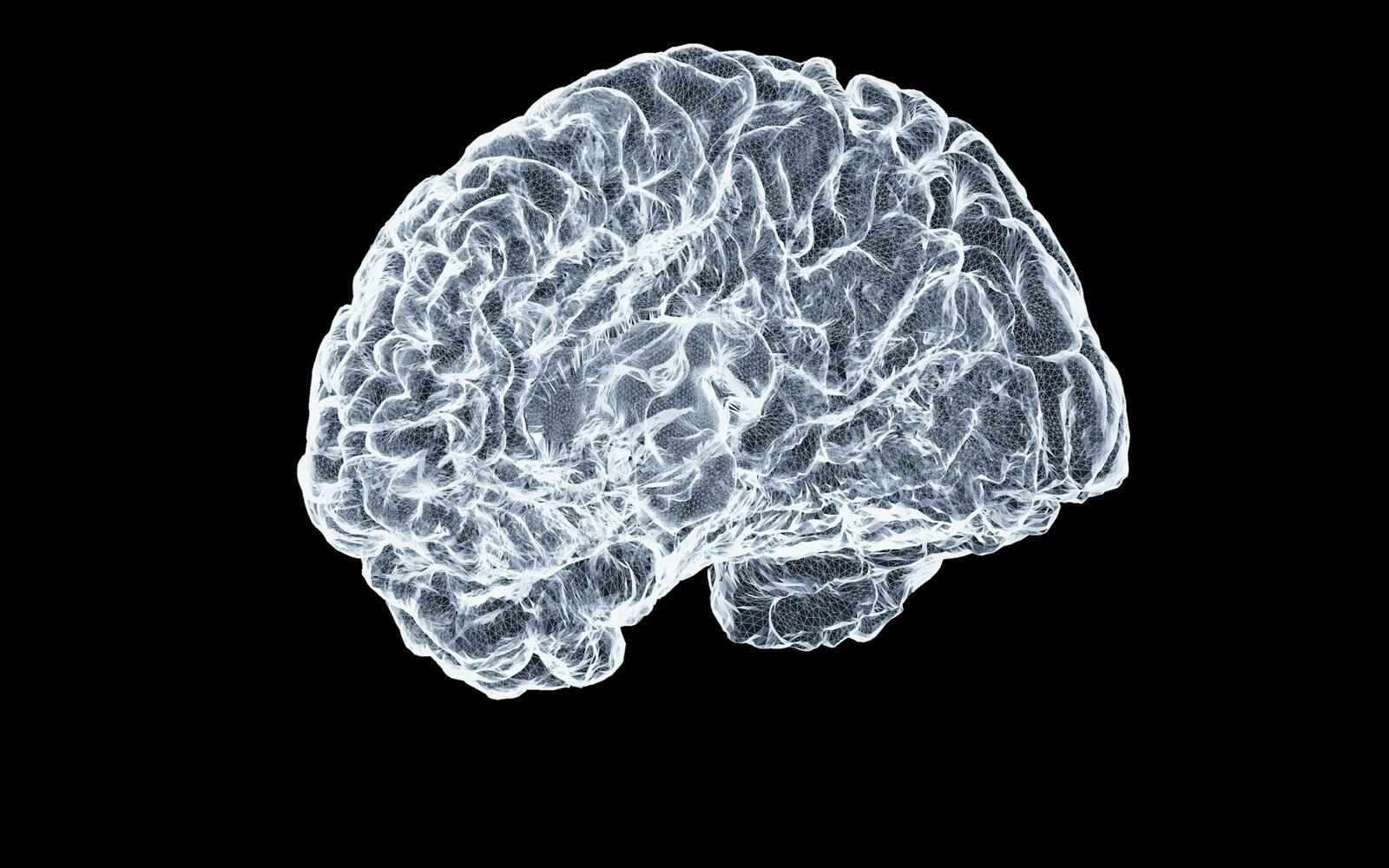 AI Email Triage System